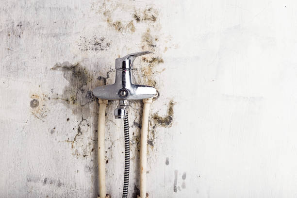 Best Mold Remediation for Specific Building Types in Stanton, KY