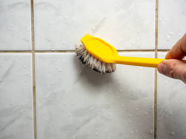 Best Health and Safety Mold Remediation in Stanton, KY