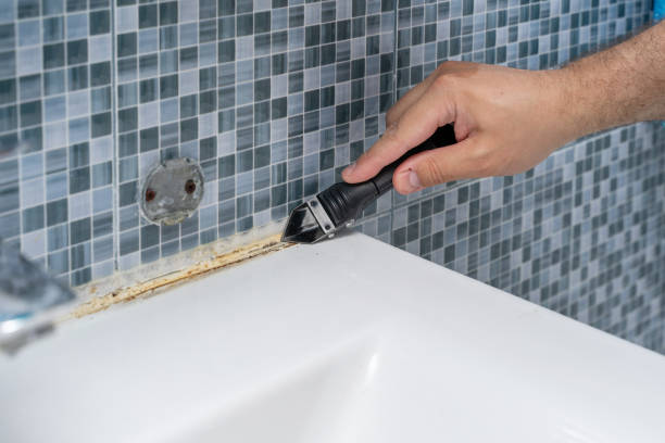 Best Basement Mold Remediation in Stanton, KY